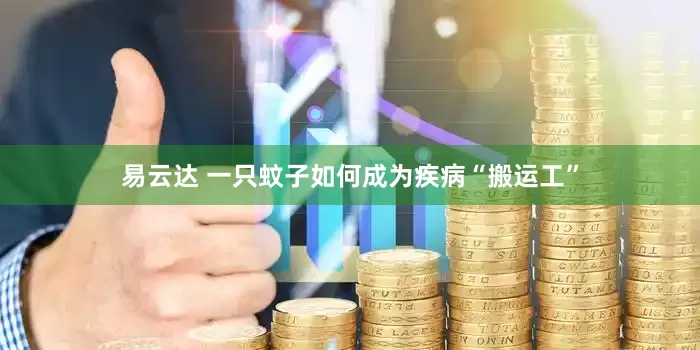 易云达 一只蚊子如何成为疾病“搬运工”